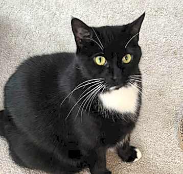 Photo of Evie