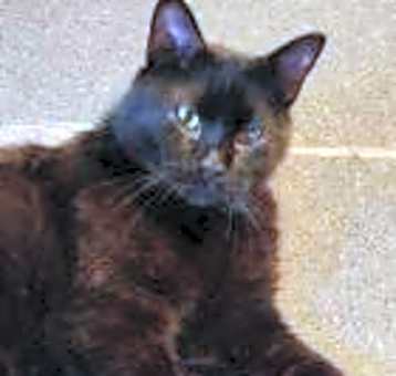 Photo of Tucker