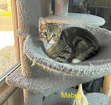 Photo of Mabel 1.25.25
