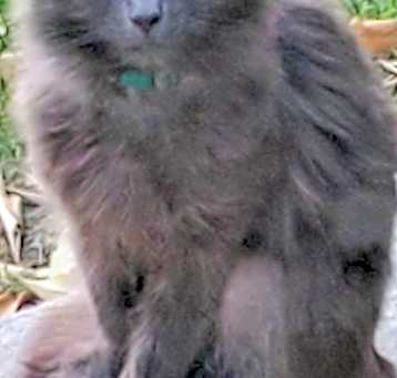 Photo of Leroy