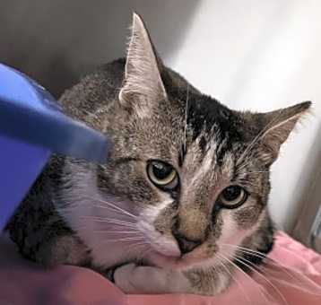 Photo of Timothy