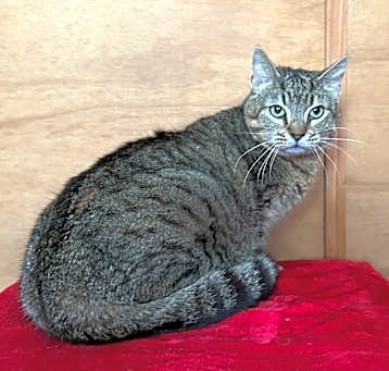 Photo of Sylvia