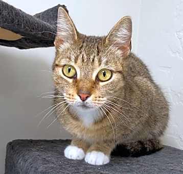 Photo of Juna