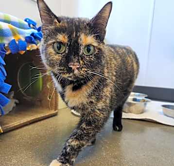 Photo of Cleo
