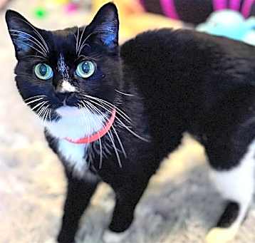 Photo of Holly