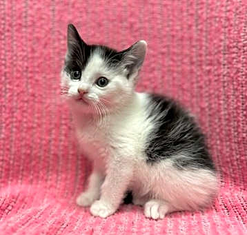 Photo of Frodo