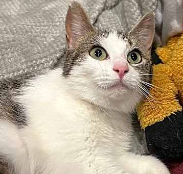 Photo of Buffy
