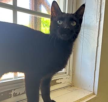 Photo of Axel