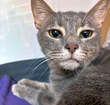 Photo of Didee