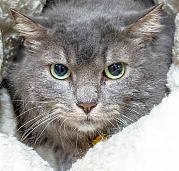 Photo of SUNDANCE