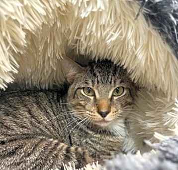 Photo of Leroy