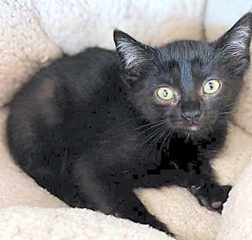 Photo of PETA
