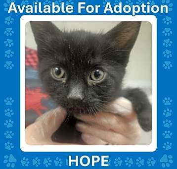 Photo of Hope