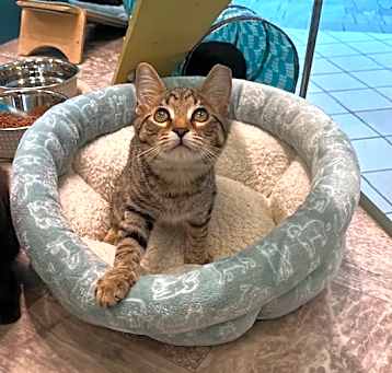 Photo of Rowdy