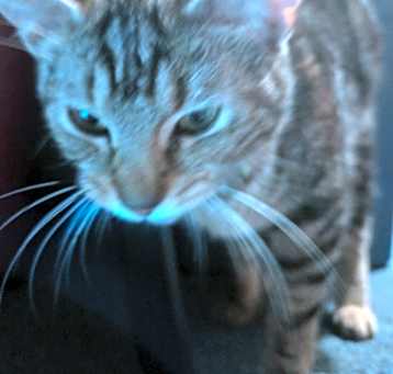 Photo of Macey