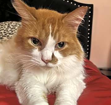 Photo of Colby