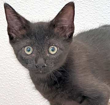 Photo of Zip