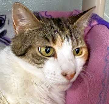 Photo of Bertie