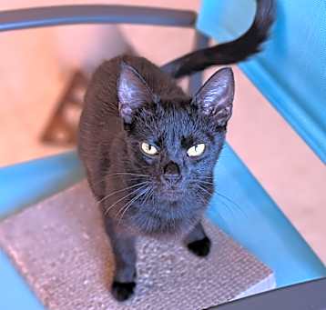 Photo of Jujubees 25-2639