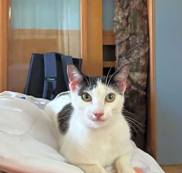 Photo of JOKER