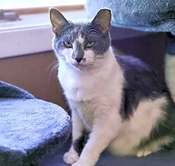 Photo of Thumper