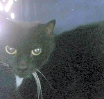Photo of THELMA