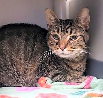 Photo of Jasper