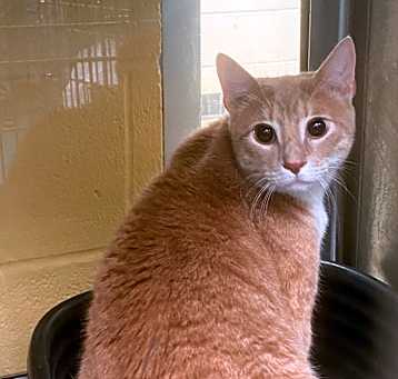 Photo of Max