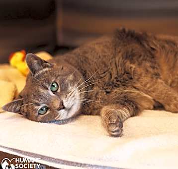 Photo of TUNA