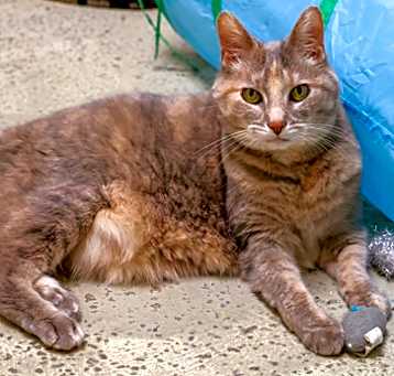 Photo of Bella**Bonded With Booker**
