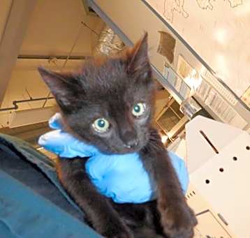 Photo of MIDNIGHT