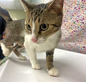 Photo of Ivy