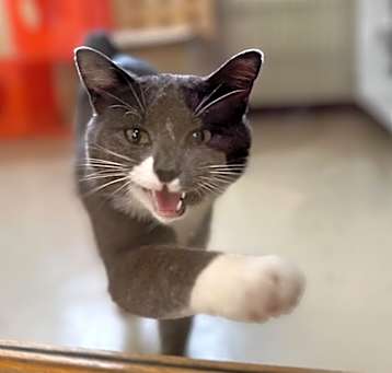 Photo of Minky