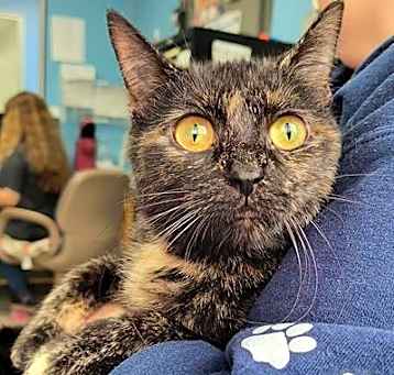 Photo of SNICKERS