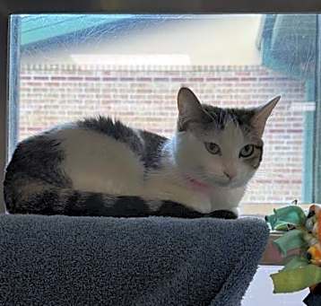 Photo of Princess