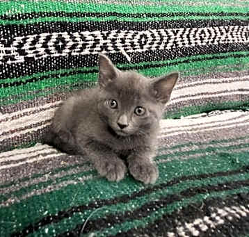 Photo of Storm