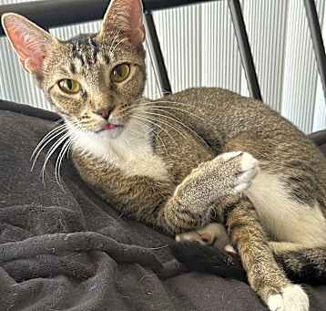 Photo of Kiki
