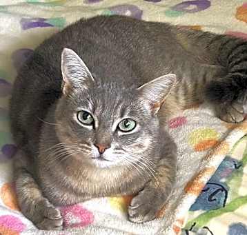 Photo of Clambake -  formerly Misty Boy