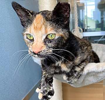Photo of Sugar