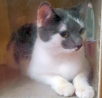 Photo of Luna