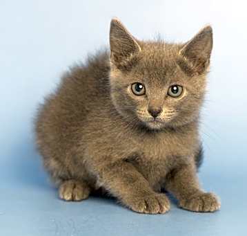 Photo of TINA