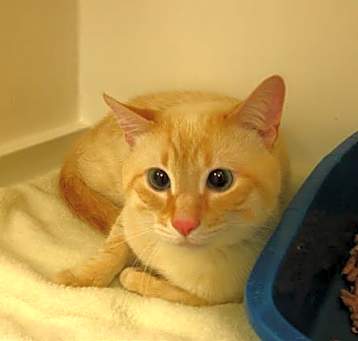 Photo of MARVIN