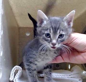 Photo of A543109