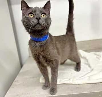 Photo of HORATIO