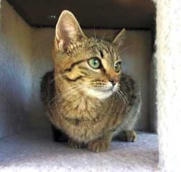 Photo of Sunny-8006