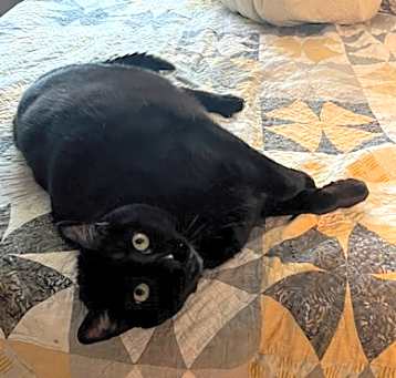 Photo of Terra