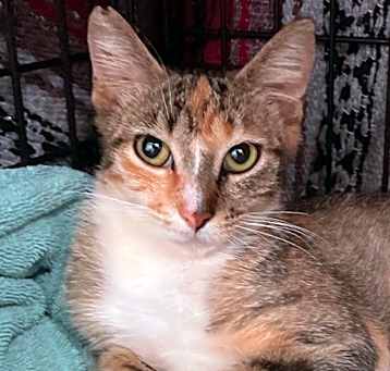 Photo of Betty