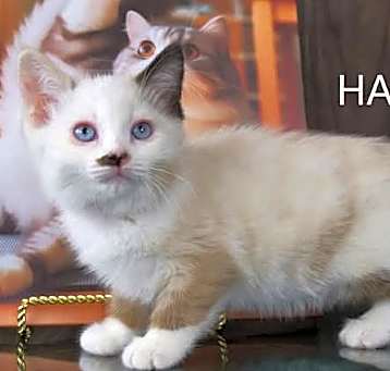 Photo of Hazel