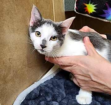 Photo of Elora (mcas)