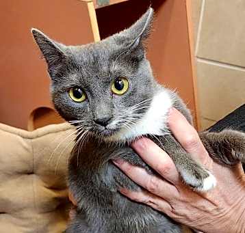 Photo of Sloane (mcas)